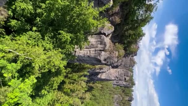 Міст Басти Національному Парку Саксонської Швейцарії Березі Річки Ельба Саксонія — стокове відео