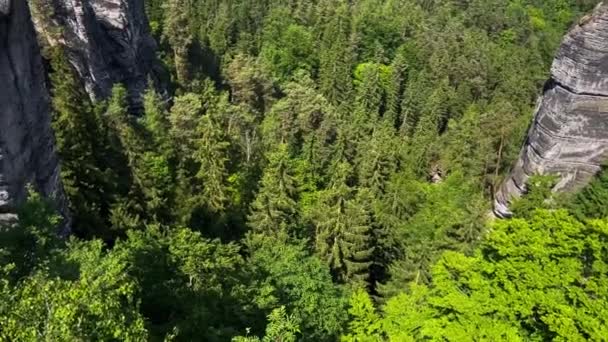 サクソン スイス国立公園のバスティー橋 エルベ川 サクソニー ドイツの銀行 高品質の4K映像 — ストック動画