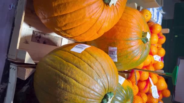 Halloween Voorbereidingen Sinaasappelpompoenen Markt Osnabruck Duitsland Oktober 2023 Verticale Video — Stockvideo