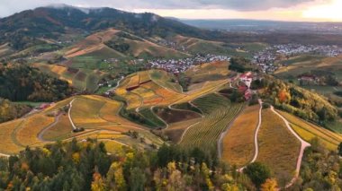 Sonbahar günbatımında şarap üreten üzüm terasları için hava aracı manzaralı vadi bağları. Güney Almanya şarap bölgesi. Yüksek kalite 4k görüntü