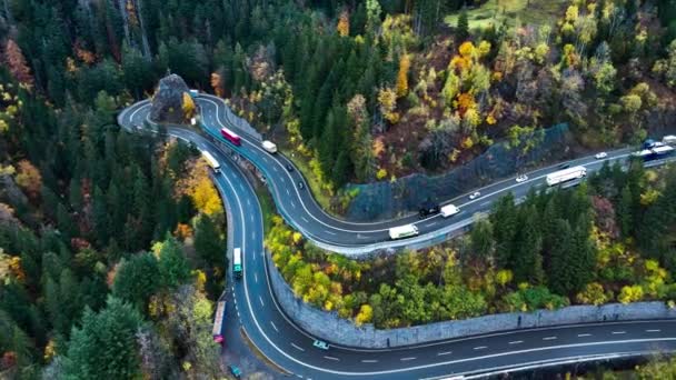 空中ドローンビュー秋の木の間を巻く山道 カーブを通過する車両 ドイツ南部の蛇道 高品質の4K映像 — ストック動画