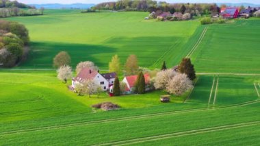 Alman kırsalındaki sarı kolza tohumu tarlalarının hava aracı görüntüsü. Yüksek kalite 4k görüntü