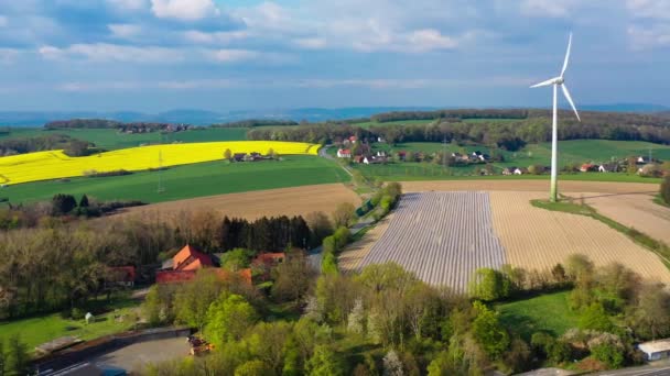 Vista Aérea Drones Campos Espargos Campos Colza Amarelos Zona Rural — Vídeo de Stock