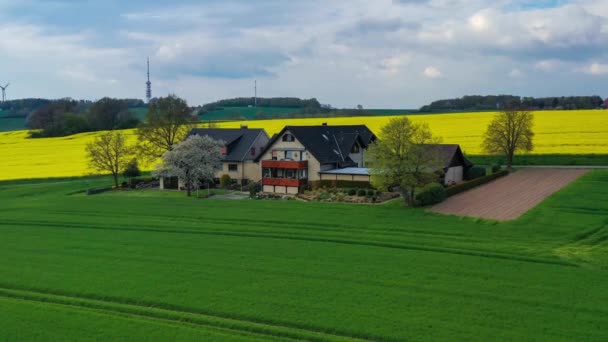 德国农村黄色油菜地的空中无人驾驶图像 高质量的4K镜头 — 图库视频影像