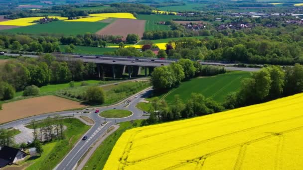 Vista Aérea Drones Campos Colza Amarelos Zona Rural Alemã Imagens — Vídeo de Stock
