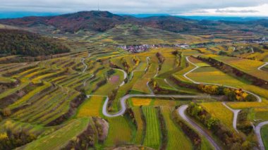 Sonbahar günbatımında şarap üreten üzüm terasları için hava aracı manzaralı vadi bağları. Güney Almanya şarap bölgesi. Yüksek kalite 4k görüntü