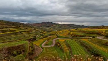 Sonbahar günbatımında şarap üretimi için üzüm terasları için Timelapse Valley üzüm bağları. Güney Almanya şarap bölgesi. Yüksek kalite 4k görüntü