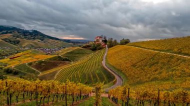 Sonbahar günbatımında şarap üretimi için üzüm terasları için Timelapse Valley üzüm bağları. Güney Almanya şarap bölgesi. Yüksek kalite 4k görüntü