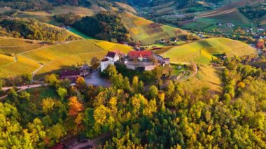 Sonbahar günbatımında şarap üreten üzüm terasları için hava aracı manzaralı vadi bağları. Güney Almanya şarap bölgesi. Yüksek kalite 4k görüntü