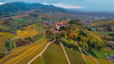 Sonbahar günbatımında şarap üreten üzüm terasları için hava aracı manzaralı vadi bağları. Güney Almanya şarap bölgesi. Yüksek kalite 4k görüntü