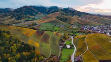 Sonbahar günbatımında şarap üreten üzüm terasları için hava aracı manzaralı vadi bağları. Güney Almanya şarap bölgesi. Yüksek kalite 4k görüntü