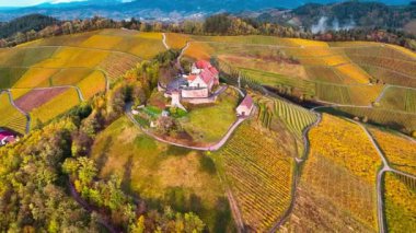Sonbahar günbatımında şarap üreten üzüm terasları için hava aracı manzaralı vadi bağları. Güney Almanya şarap bölgesi. Yüksek kalite 4k görüntü