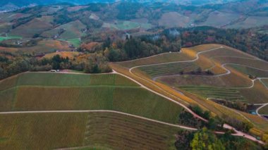 Sonbahar günbatımında şarap üreten üzüm terasları için hava aracı manzaralı vadi bağları. Güney Almanya şarap bölgesi. Yüksek kalite 4k görüntü