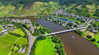 Üzüm bağı teraslarının hava aracı görüntüsü. Mosel Vadisi şarap bölgesi Almanya. Yüksek kalite 4k görüntü