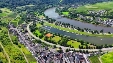 Üzüm bağı teraslarının hava aracı görüntüsü. Mosel Vadisi şarap bölgesi Almanya. Yüksek kalite 4k görüntü