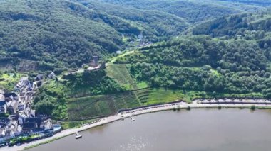 Üzüm bağı teraslarının hava aracı görüntüsü. Mosel Vadisi şarap bölgesi Almanya. Yüksek kalite 4k görüntü