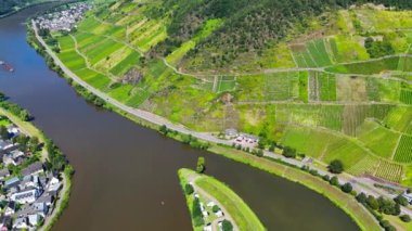 Üzüm bağı teraslarının hava aracı görüntüsü. Mosel Vadisi şarap bölgesi Almanya. Yüksek kalite 4k görüntü