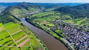 Üzüm bağı teraslarının hava aracı görüntüsü. Mosel Vadisi şarap bölgesi Almanya. Yüksek kalite 4k görüntü