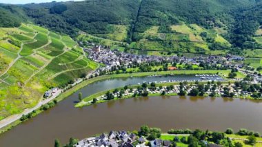 Üzüm bağı teraslarının hava aracı görüntüsü. Mosel Vadisi şarap bölgesi Almanya. Yüksek kalite 4k görüntü
