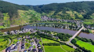 Üzüm bağı teraslarının hava aracı görüntüsü. Mosel Vadisi şarap bölgesi Almanya. Yüksek kalite 4k görüntü