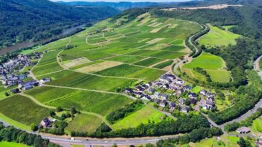 Üzüm bağı teraslarının hava aracı görüntüsü. Mosel Vadisi şarap bölgesi Almanya. Yüksek kalite 4k görüntü