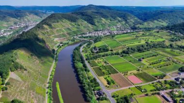 Üzüm bağı teraslarının hava aracı görüntüsü. Mosel Vadisi şarap bölgesi Almanya. Yüksek kalite 4k görüntü