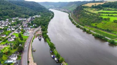 Üzüm bağı teraslarının hava aracı görüntüsü. Mosel Vadisi şarap bölgesi Almanya. Yüksek kalite 4k görüntü