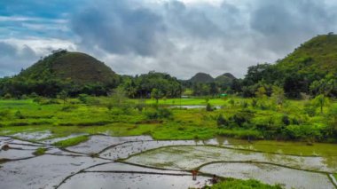 Hava aracı görüntüsü Chocolate Hills ve Rice Terraces Bohol Adası, Filipinler. Yüksek kalite 4k görüntü