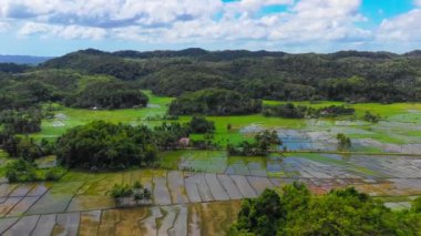 Hava aracı görüntüsü Chocolate Hills ve Rice Terraces Bohol Adası, Filipinler. Yüksek kalite 4k görüntü