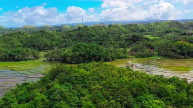 Hava aracı görüntüsü Chocolate Hills ve Rice Terraces Bohol Adası, Filipinler. Yüksek kalite 4k görüntü
