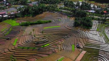 Hava aracı görüntüsü Chocolate Hills ve Rice Terraces Bohol Adası, Filipinler. Yüksek kalite 4k görüntü