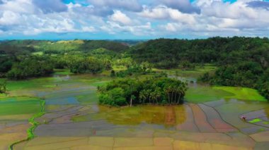 Hava aracı görüntüsü Chocolate Hills ve Rice Terraces Bohol Adası, Filipinler. Yüksek kalite 4k görüntü