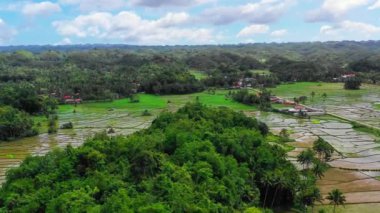 Hava aracı görüntüsü Chocolate Hills ve Rice Terraces Bohol Adası, Filipinler. Yüksek kalite 4k görüntü