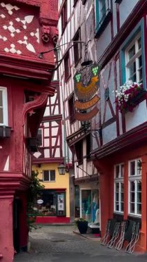 Mosel Vadisi 'nde şarap bölgesi, Bernkastel-Kues, Almanya, 23 Temmuz 2024. Yüksek kalite 4k görüntü