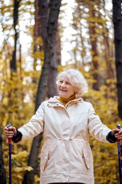 Güzel sonbahar ormanlarında yürüyüş yaparken İskandinav kutuplarıyla yürüyen son sınıf öğrencisi aktif bir kadın. Vestiyer giymiş yaşlı Avrupalı kadın havanın ve sağlıklı yaşam tarzının tadını çıkarıyor.