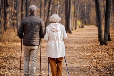 Rear view on couple walking with nordic walking poles in autumn forest. Active lifestyle after retirement concept. Romantic elderly couple enjoying the moment of love in park, enjoying time together