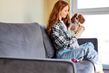 Attractive Young Lady With Red Hair Sitting On Sofa With Pet Dog Hugging, Loving King Charles Spaniel Breed. At Home In Cozy Room, Have Rest And Fun, Enjoy Weekends Holidays Together