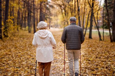 Rear view on elderly couple in love engaged in Nordic walking going in autumn nature park, forest. Concept of active elderly people during retirement. Everyday joy lifestyle without age limitation.