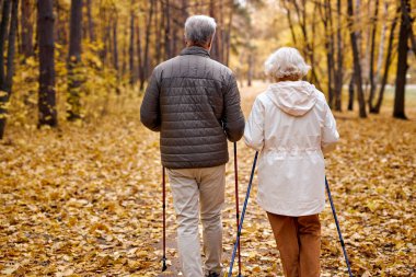 Kuzeyli yürüyüşü, sonbahar parkında bastonlarıyla yürüyen yaşlı Avrupalı Avrupalı bir çifte dikiz aynası. Sağlıklı omurga ve eklemler için spor egzersizleri, sağlık için terapi. Arkadan görünüm.