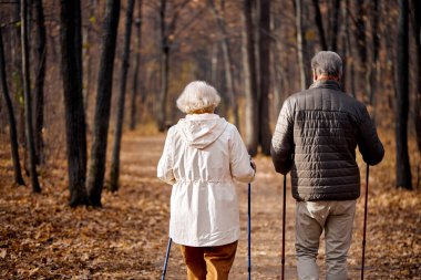 active senior male and female enjoying Nordic walking during hike in forest with husband, rear view, view from back on caucasian couple in coats leading healthy lifestyle. trees show colorful foliage