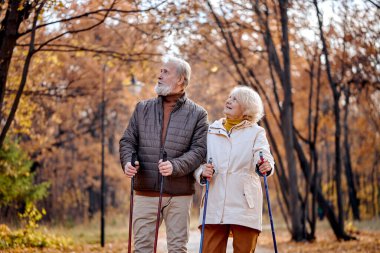 Paltolu, mutlu, gri saçlı, olgun bir çift yürüyüş direklerini kullanarak sağlık etkinliğinin keyfini çıkarıyor neşeli yüz ifadeleri takınıyor, sonbahar doğasında temiz hava soluyor, gülümsüyor.