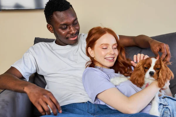 Happy black guy and caucasian lady have rest playing with dog, hugging, at home. relaxed couple enjoy weekends together, casually dressed. love, family, animals, friendship concept