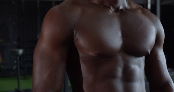 Όμορφο Τέλειο Σώμα Bodybuilder Αρσενικό Ιδανικό Κορμό Ποζάρουν Στο Γυμναστήριο — Αρχείο Βίντεο