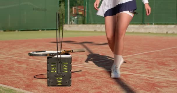Aktif Bayan Tenisçi Oyun Oynamaya Hazır Kız Top Raket Tutuyor — Stok video