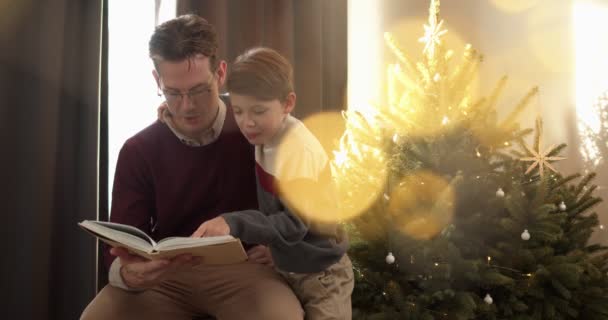 在圣诞节期间 在家里的房子里 在明亮美丽的圣诞树旁 阅读了一本有关圣诞节的书 在国内气氛中 — 图库视频影像