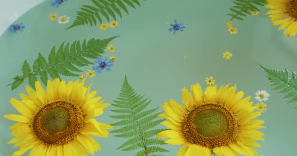 Wanna Wypełniona Wodą Świeżym Kwiatem Słonecznik Zapomnij Nie Paproć Letnie — Wideo stockowe