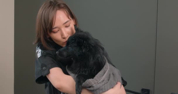 Bela Mulher Gentil Beijando Abraçando Seu Cão Depois Lavar Salão — Vídeo de Stock