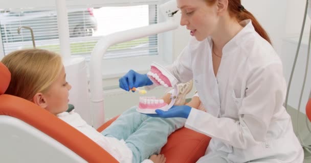 Φιλική Χαμογελαστή Κοκκινομάλλα Οδοντίατρος Διδάσκει Χαριτωμένο Κοριτσάκι Πώς Βουρτσίζουν Δόντια — Αρχείο Βίντεο