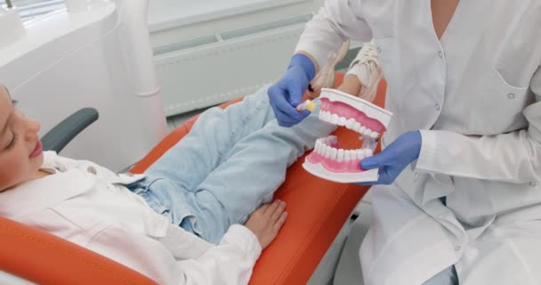 Женский Детский Стоматолог Перчатках Показывающий Правильную Гигиену Зубов Помощью Макета — стоковое видео