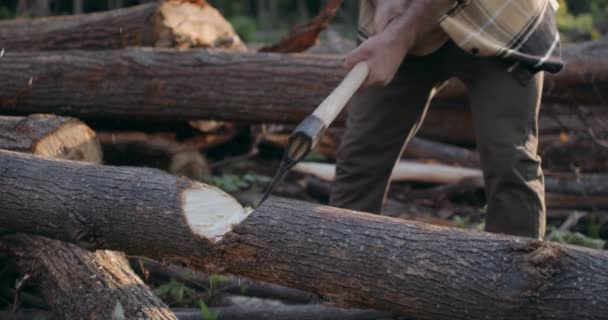 Oigenkännlig Man Slå Träd Stam Med Yxa Slow Motion Kille — Stockvideo